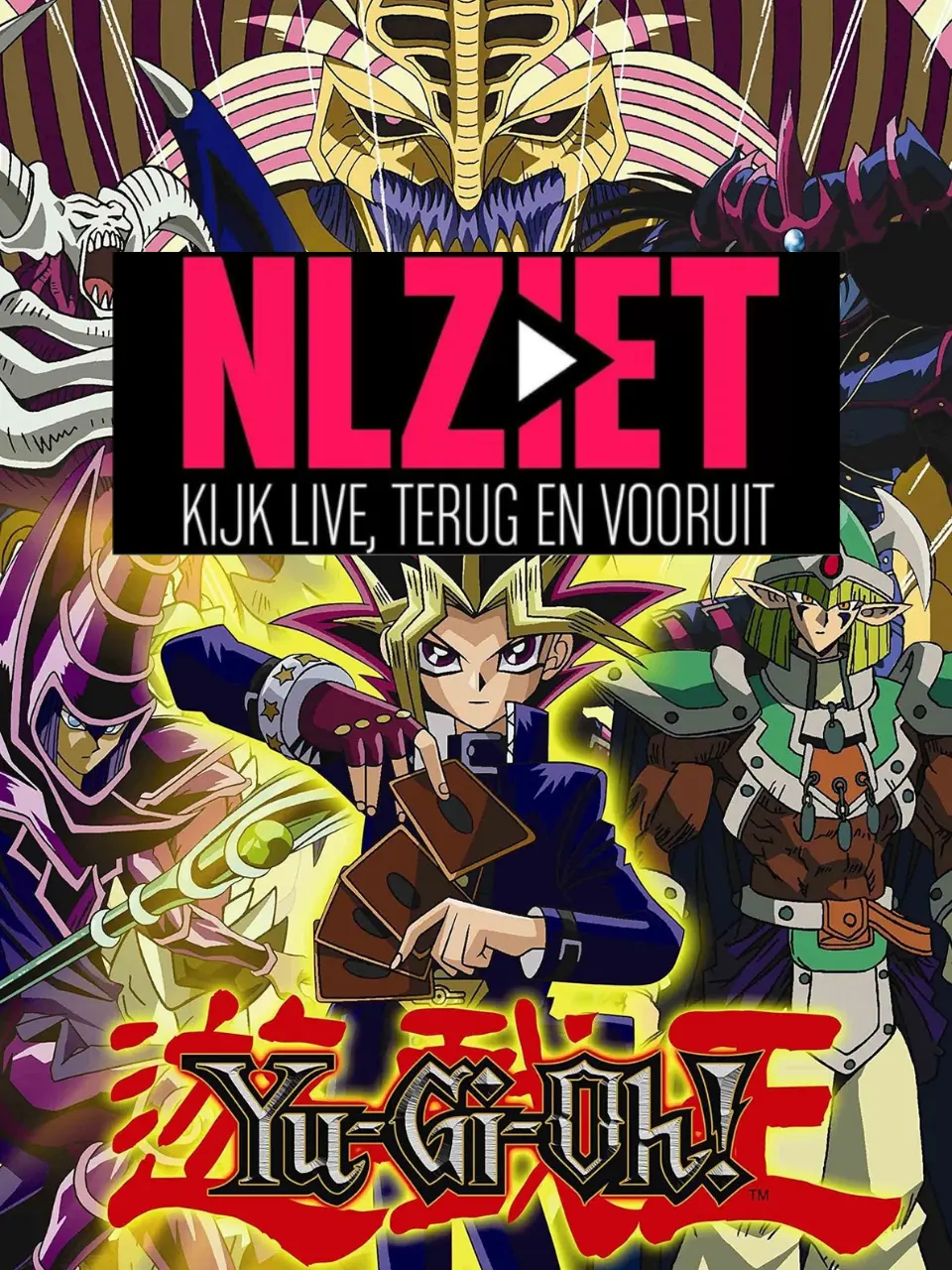 IBO PRO PLAYER NLZIET CHANNELS